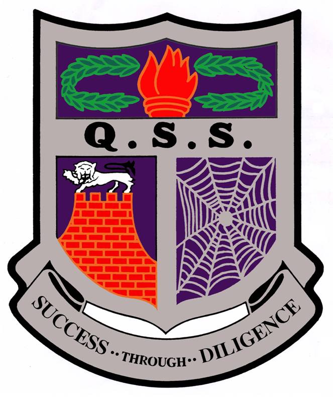 high res qss logo